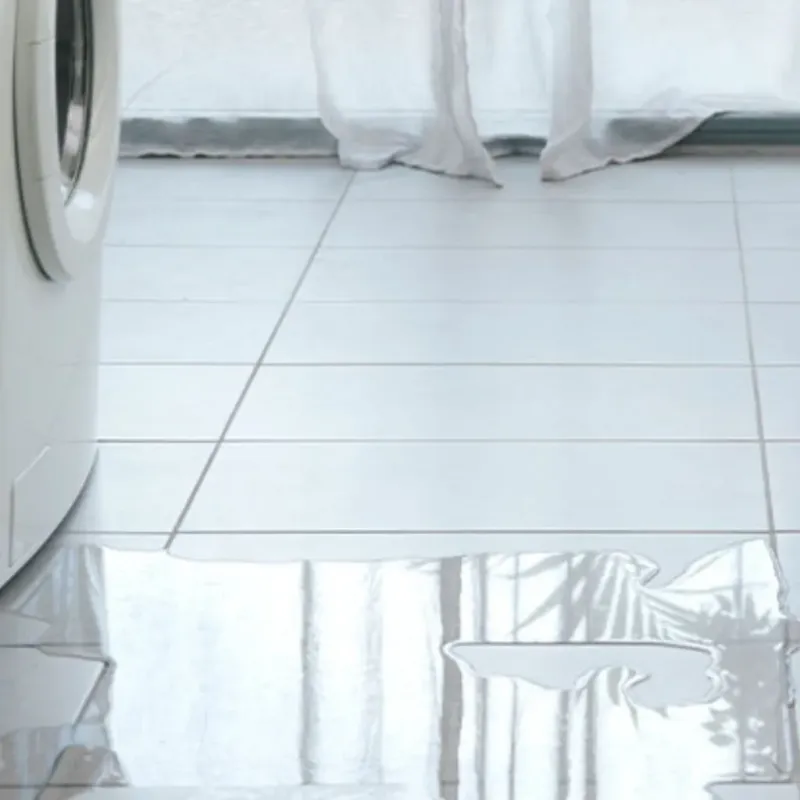 Appliance Leak Cleanup in Cedarville, AR