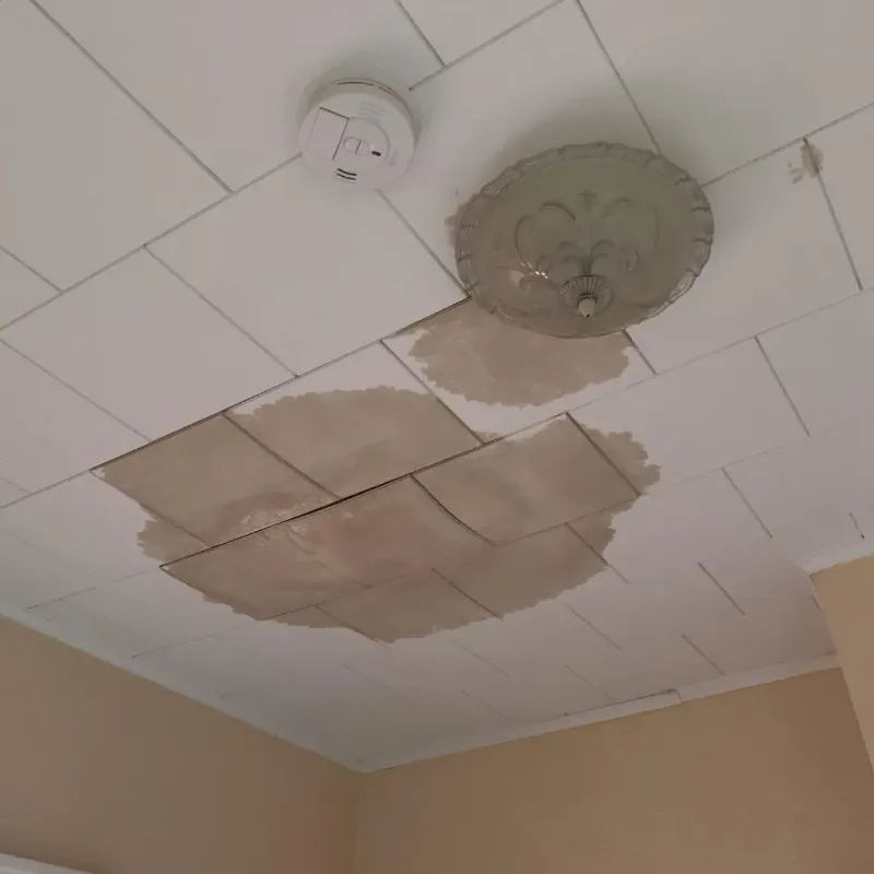 Ceiling Water Damage Repair in Cedarville, AR